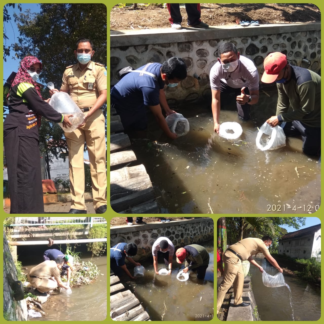 Restocking (Penebaran Bibit Ikan) Di Tiga Sungai Kota Probolinggo
