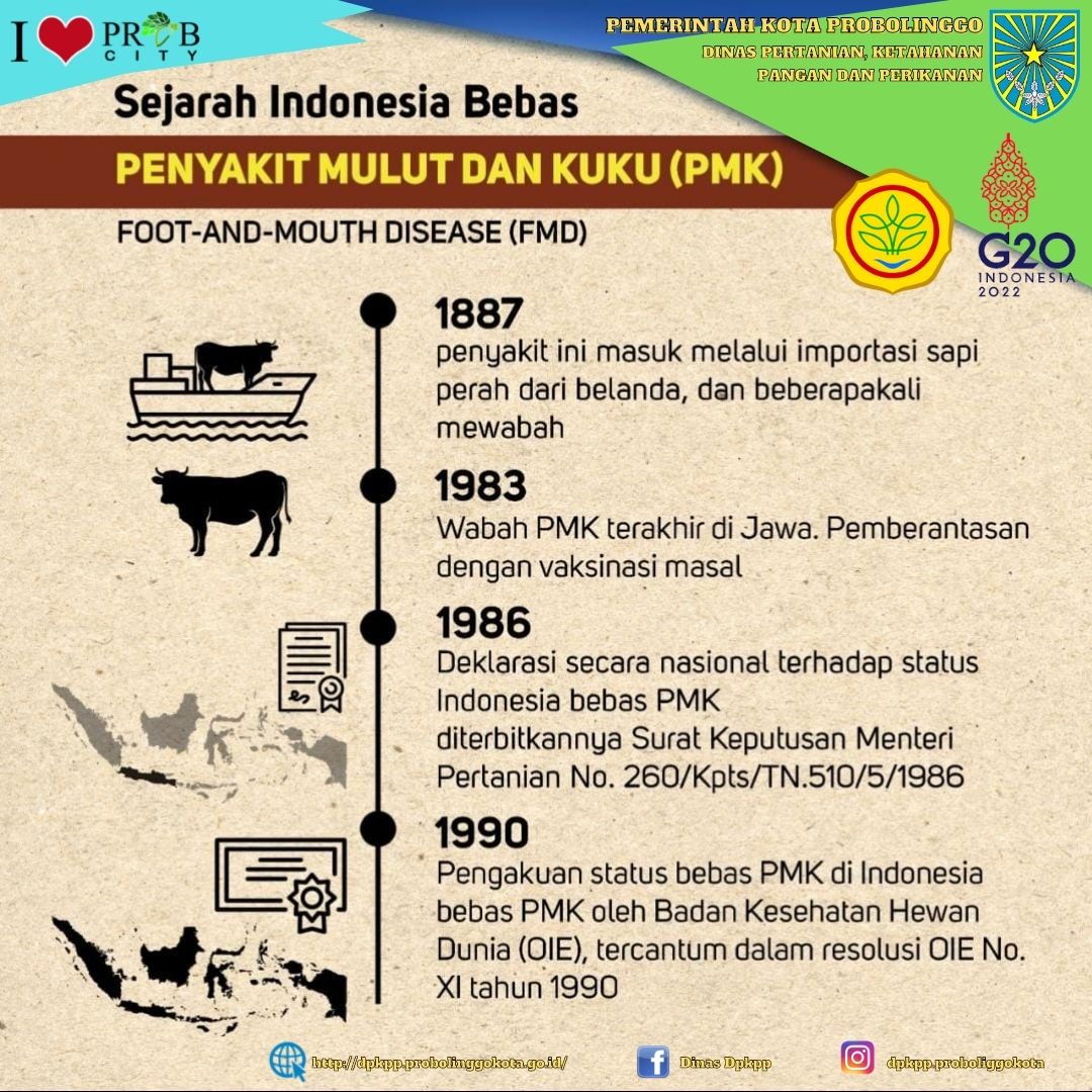 Sejarah Indonesia Bebas Penyakit Mulut Dan Kuku (PMK)