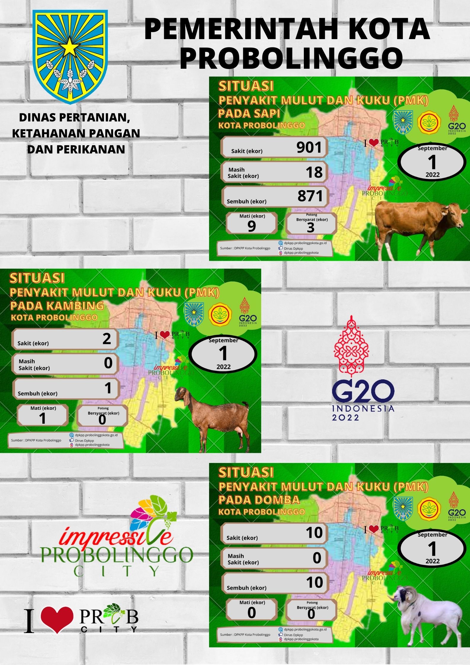 Data Perkembangan Penanganan Penyakit Mulut Dan Kuku (PMK) Di Kota Probolinggo Per Tanggal 1 September 2022