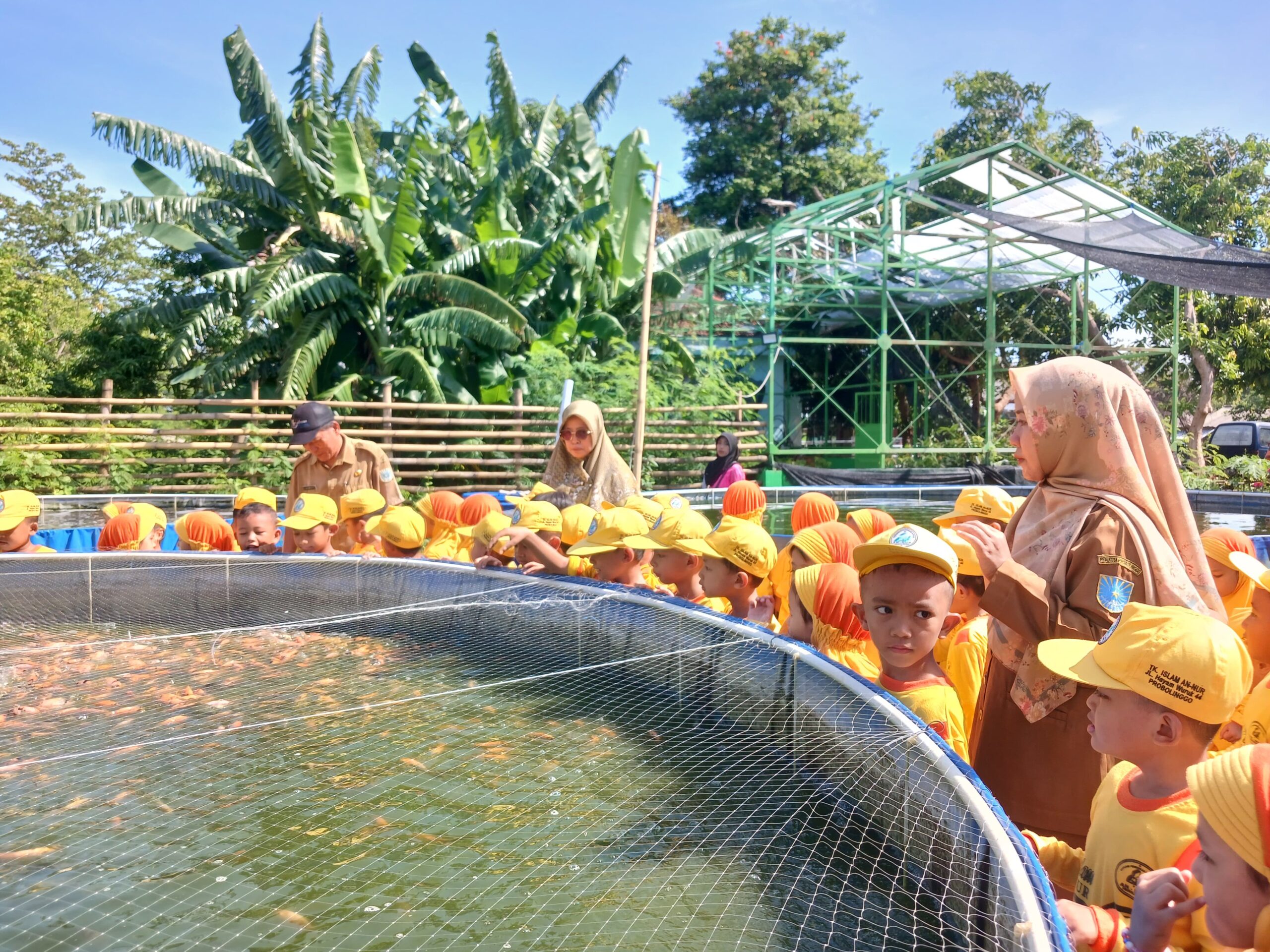 TK Islam An Nur Goes To DKPPP: Petualangan Seru Dan Edukatif Anak-anak!