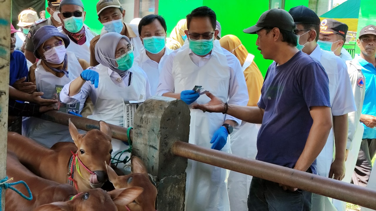 Hewan Ternak Di Pasar Hewan Kota Probolinggo Aman Dari Ancaman PMK 🐄