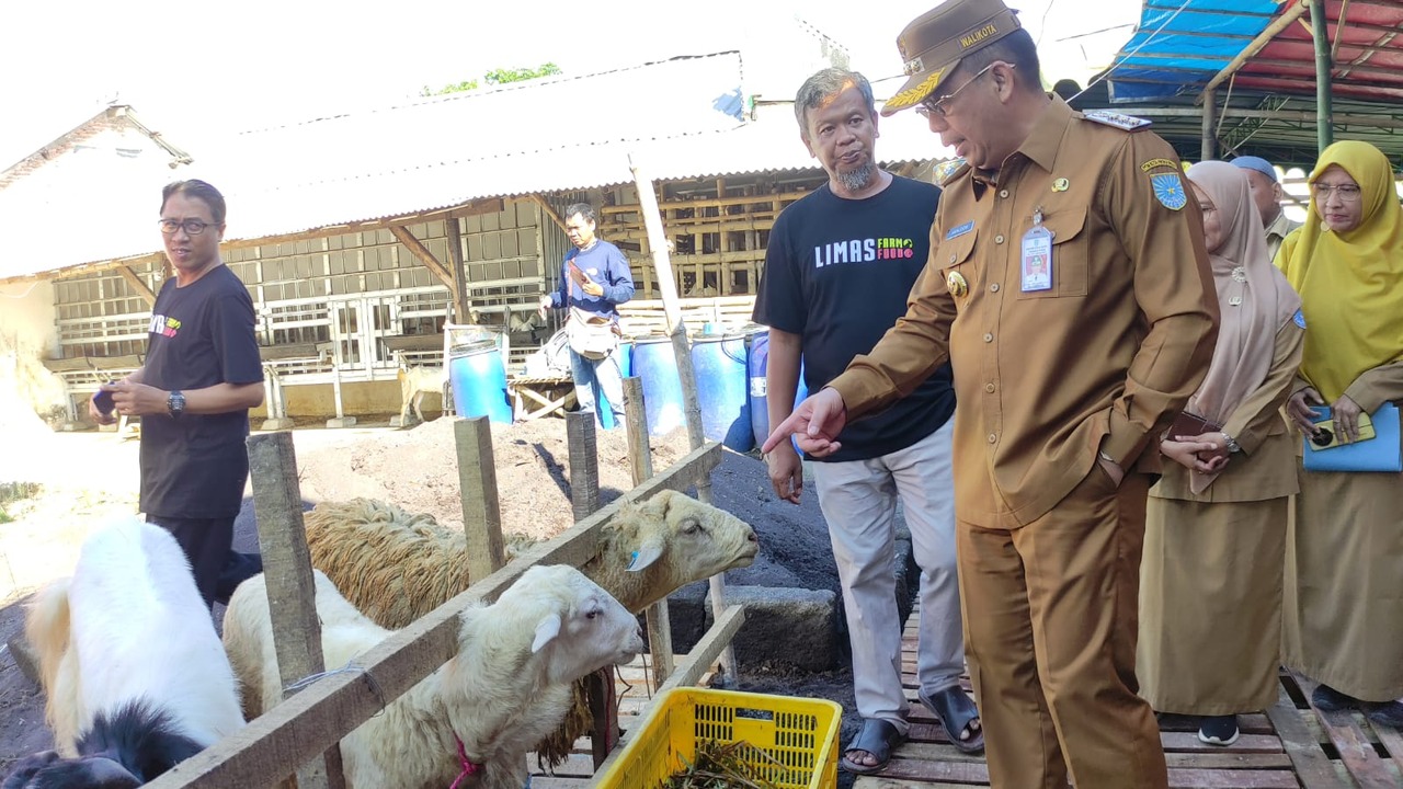 Sidak Hewan Kurban 1446 H / 2025, Pastikan Hewan ASUH Dan Sesuai Syariat