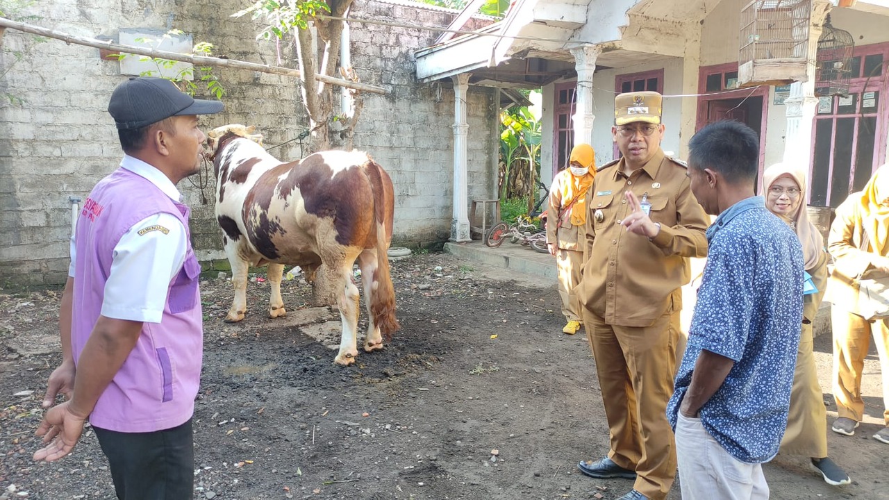 🐮✨ Kota Probolinggo Terpilih Terima Sapi Bantuan Kemasyarakatan (BANMAS) Presiden 2025