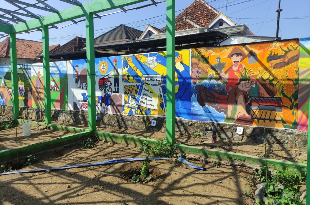 Tembok Bercerita: Transformasi Pertanian Kota Probolinggo